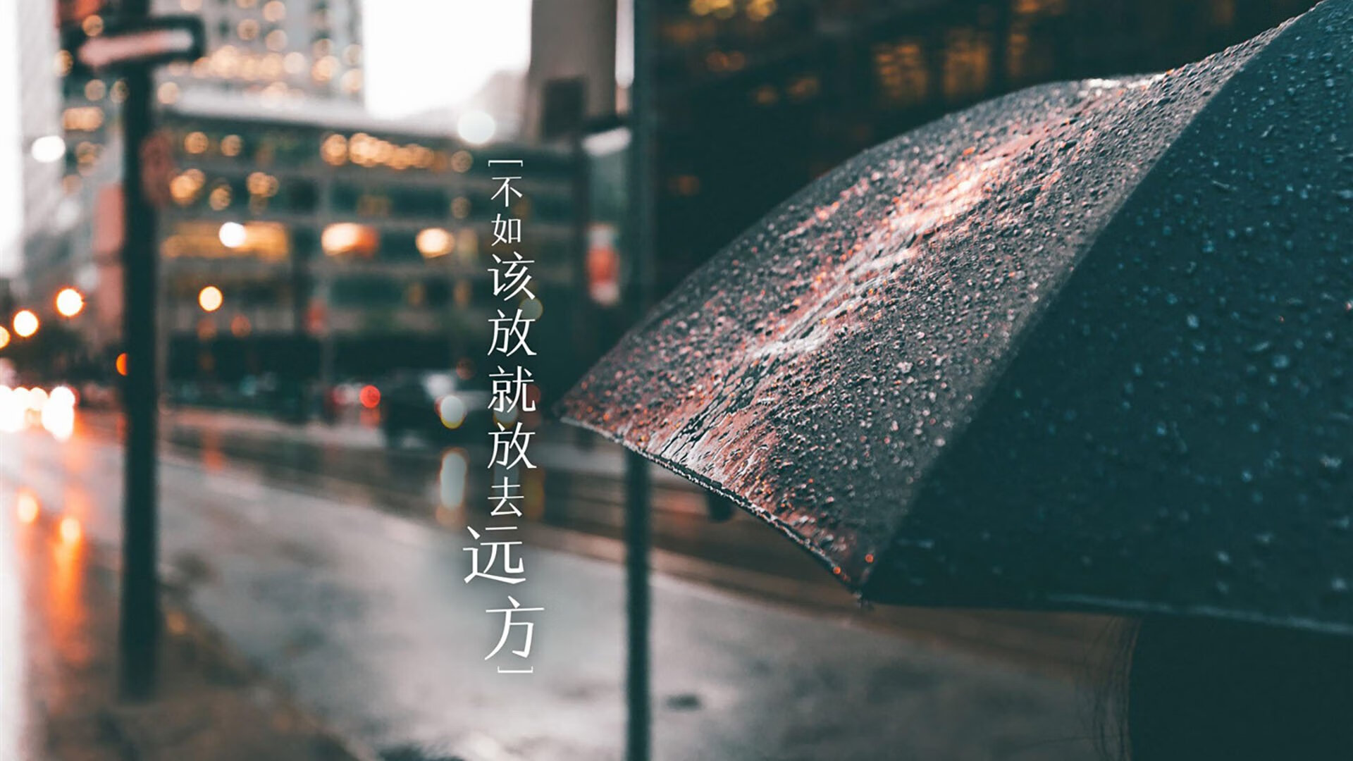 野外生存技能争霸，锤炼极限反应与合作精神，真正的野外生存知识高级篇